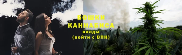 тгк Вяземский