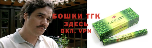 тгк Вяземский