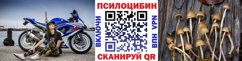 Купить  Краснознаменск  Псилоцибиновые грибы Magic Shrooms 