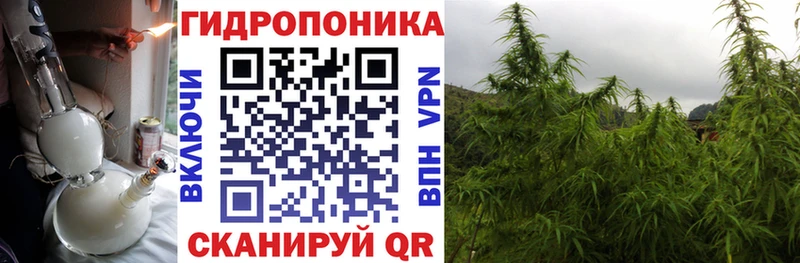 Купить  Краснознаменск  Конопля ГИДРОПОН 